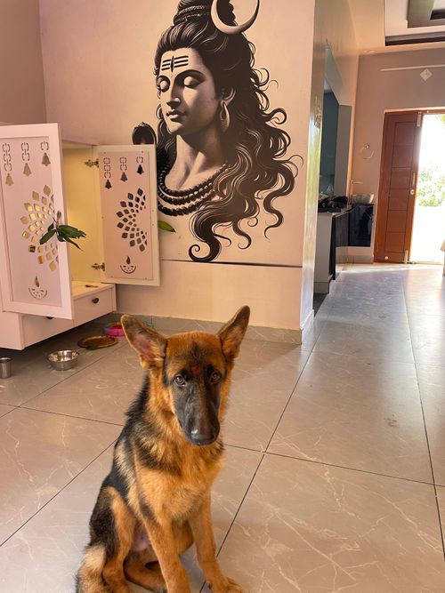 Free Dog with Shiva in the background  Stock Photo