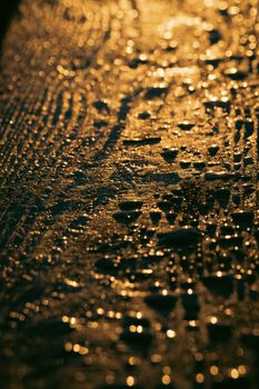 Artistic close-up capturing water droplets on a textured surface in warm golden light.