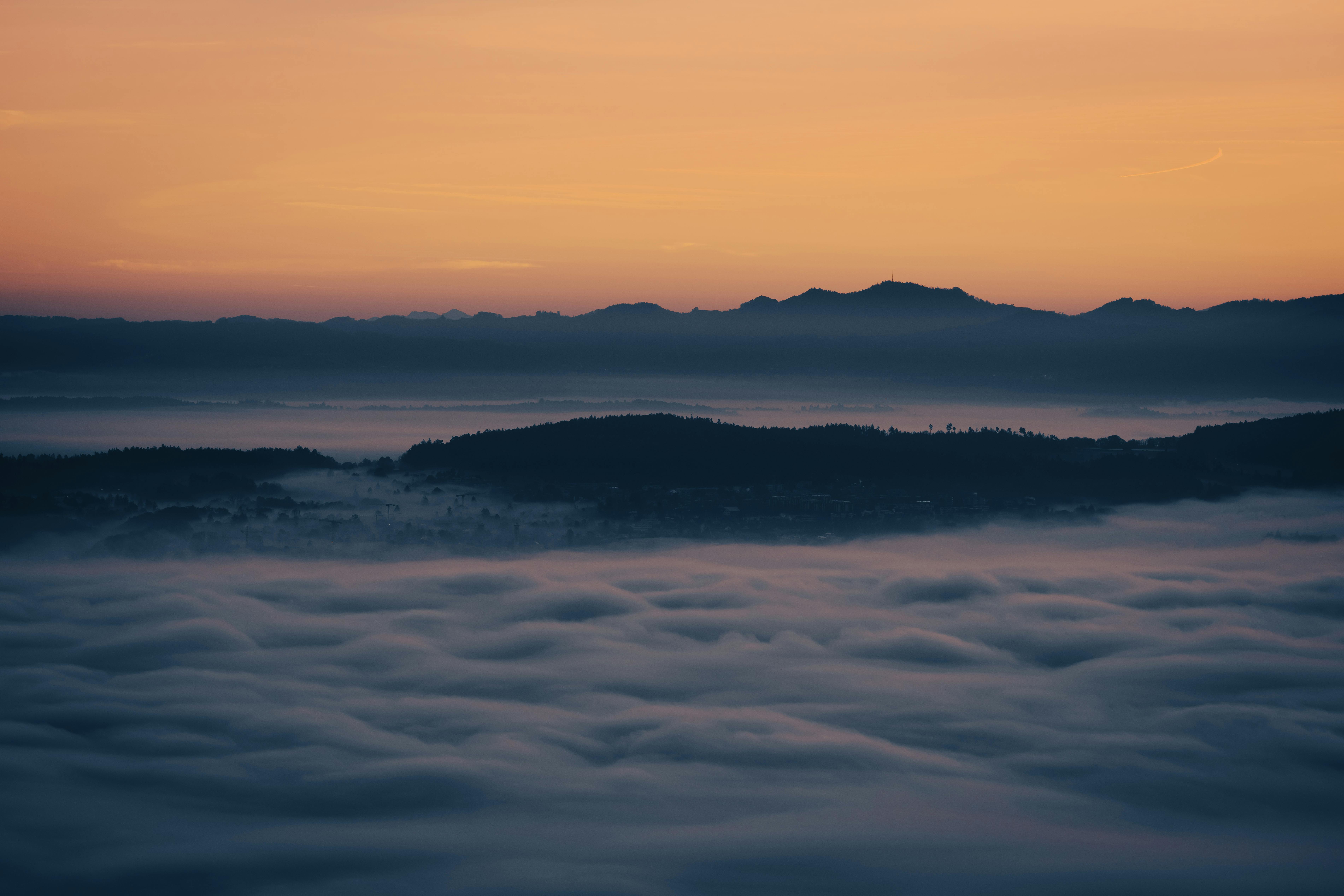 Incorporating ‍Nature-Inspired Elements into ⁤Brand Identities