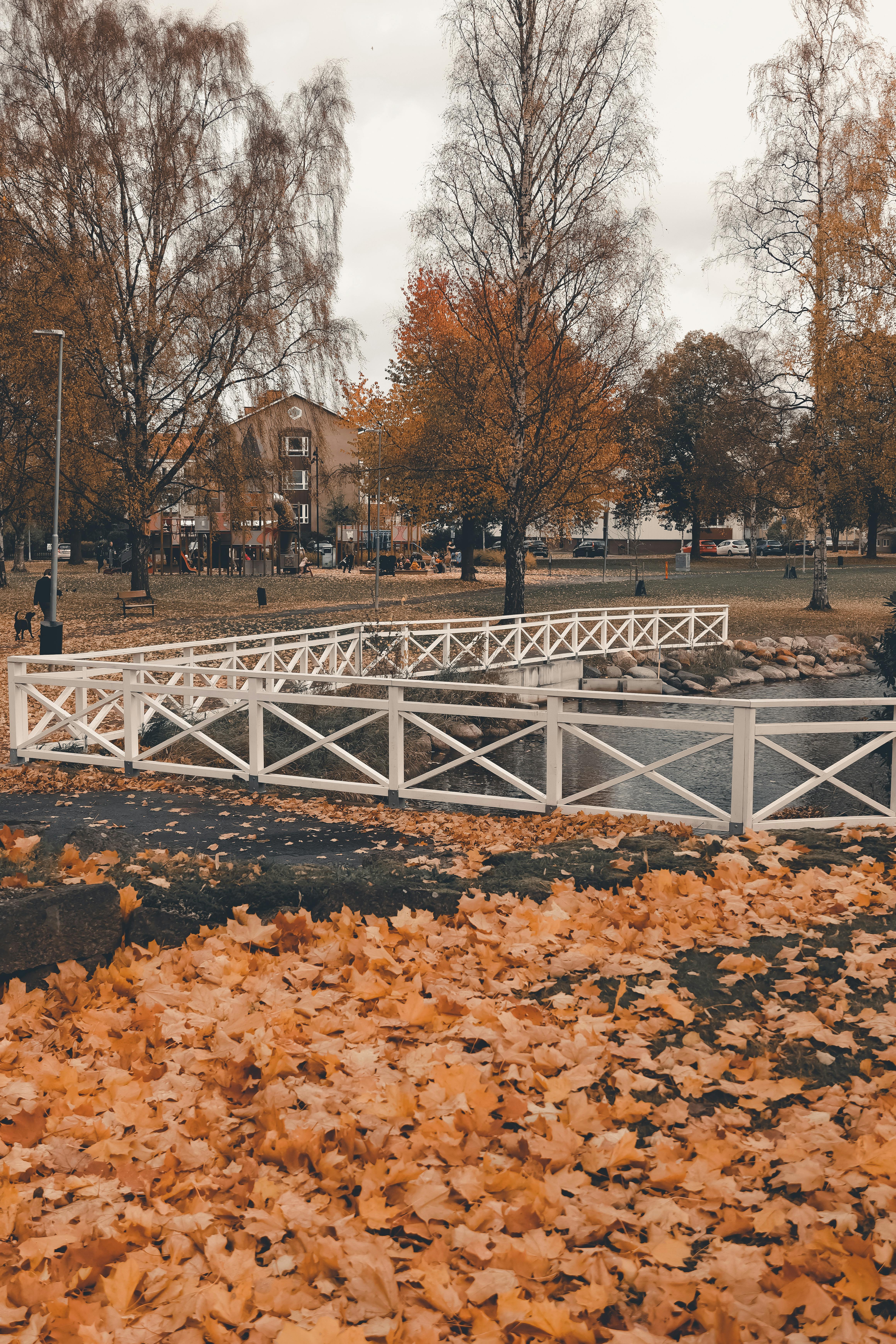 scenic autumn park in jonkoping sweden