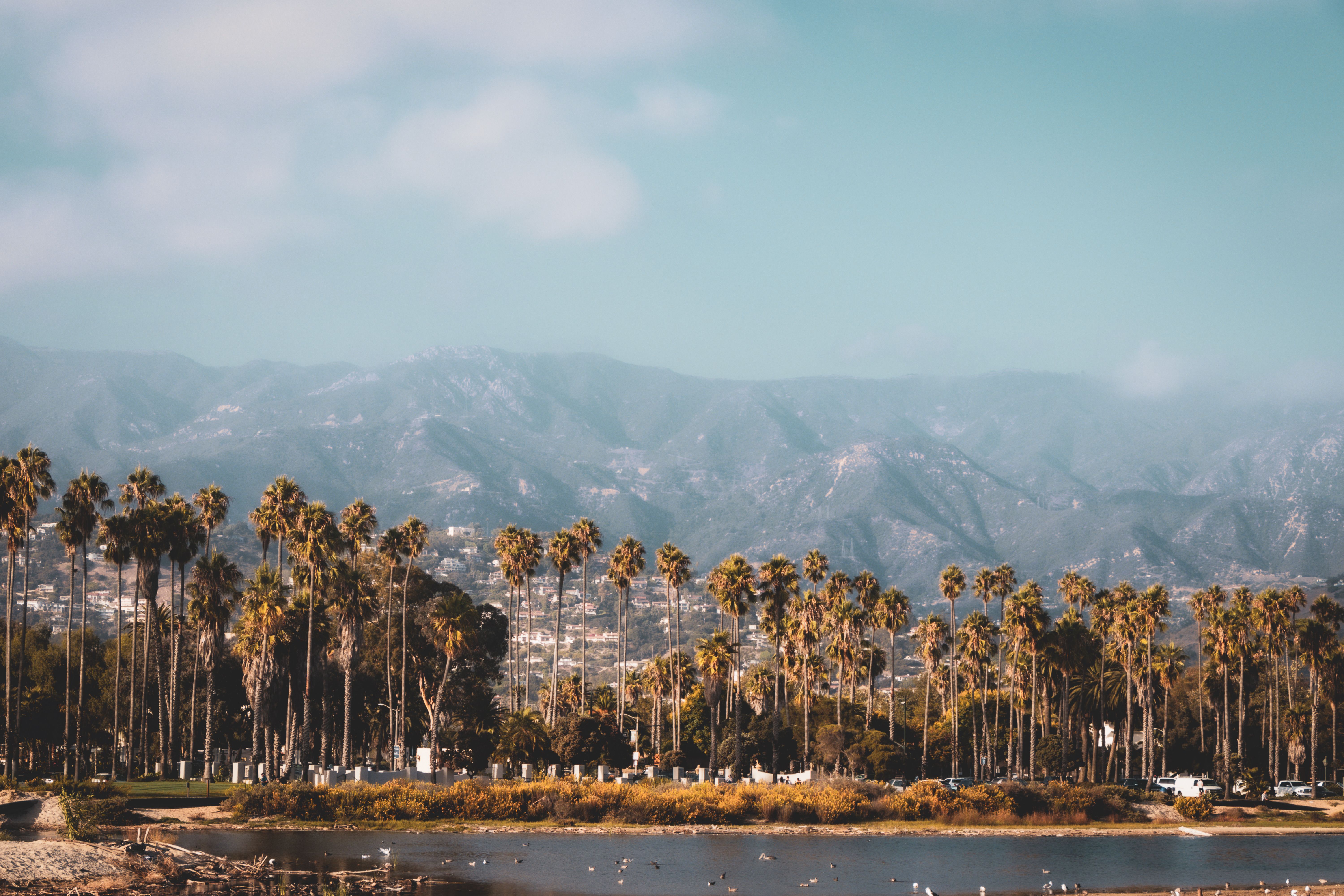 California landscape with palm trees overlooking majestic mountains.