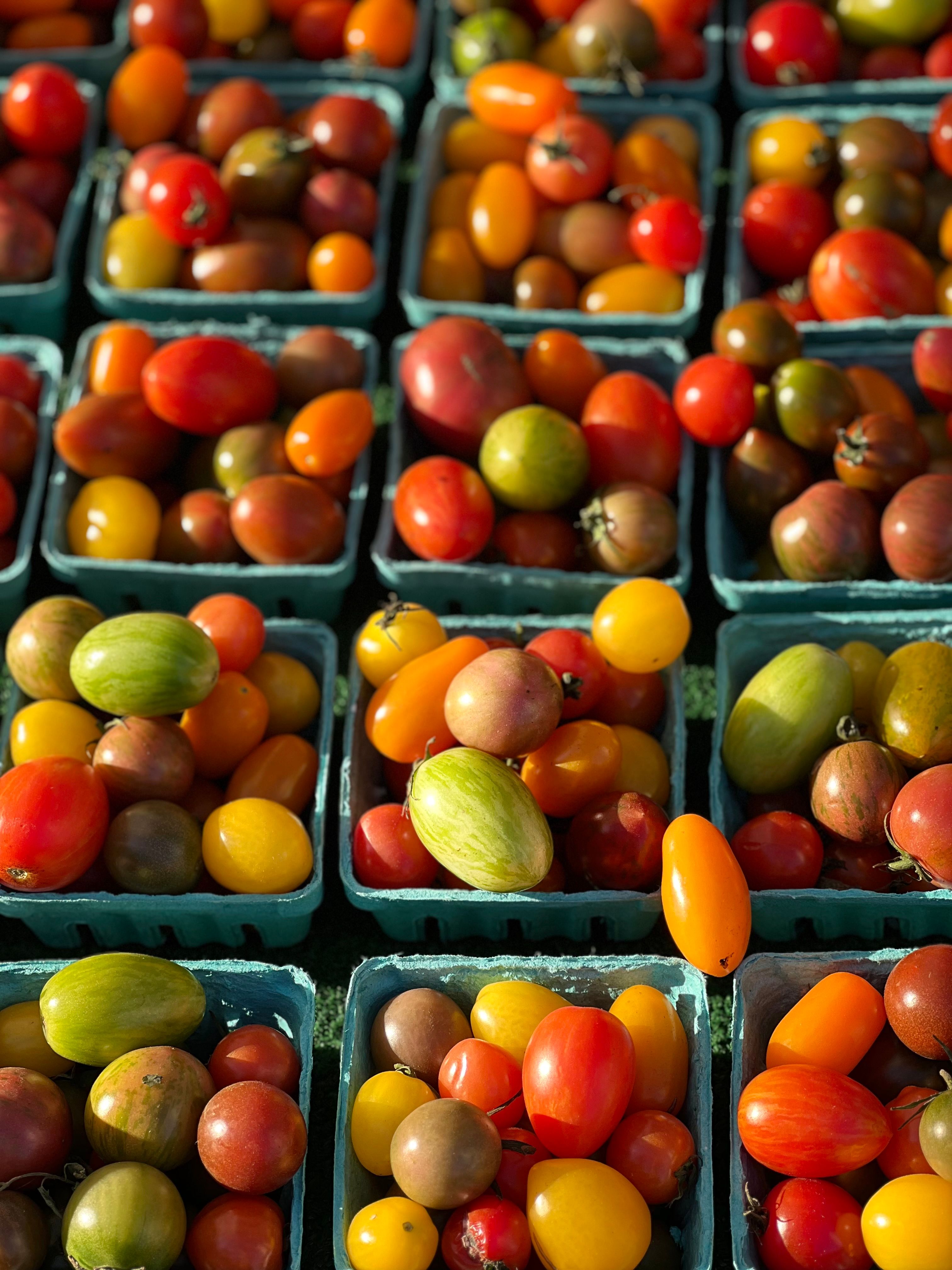 Legumes Frescos (kg)