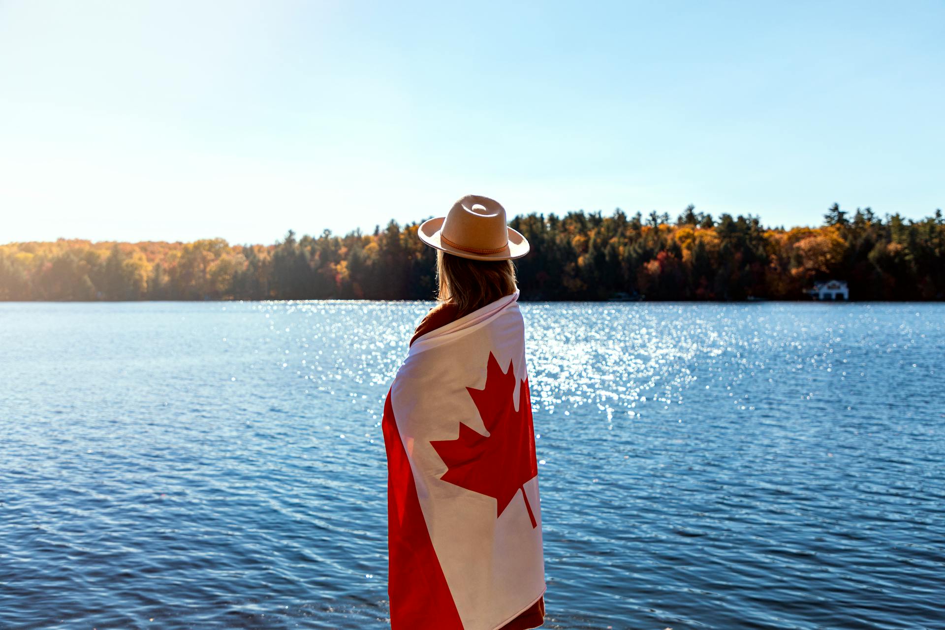 Free stock photo of autumn, canada flag, canda