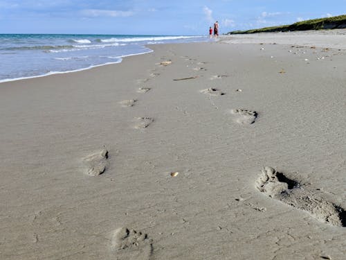 Free stock photo of beach, footprints, people walking