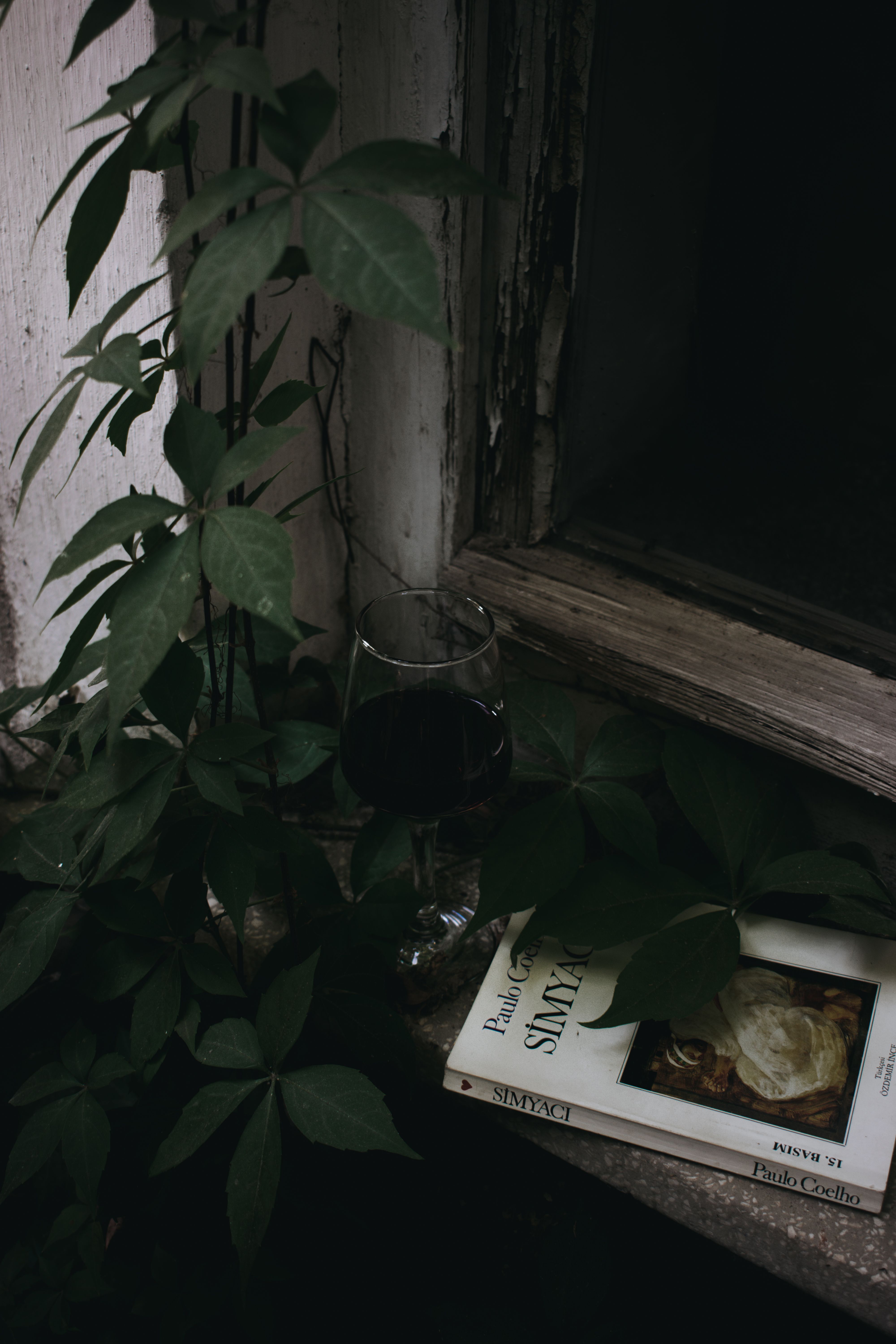 Moody image of a wine glass and book by a window with foliage.