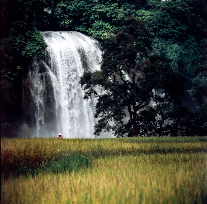 Scenic view of a waterfall in Cao Bang, Vietnam, surrounded by rich foliage and a solitary figure in a field.