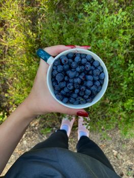 A top-down view of fresh blueberries in a mug held by a hand outdoors.