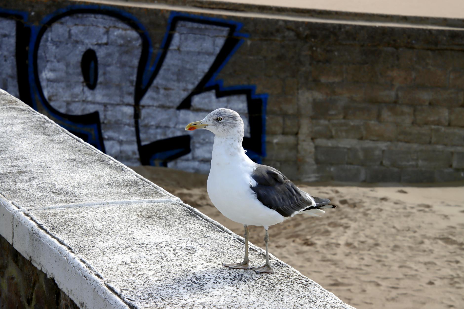 Illustration: Violences sur mineurs: un animateur périscolaire mis en examen dans les Landes
