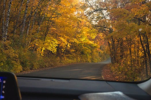 Image by Steph Quernemoen