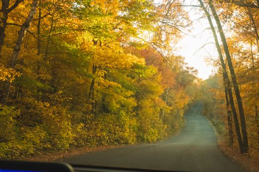 A picturesque winding road through a forest with vibrant fall foliage, showcasing golden and red leaves.