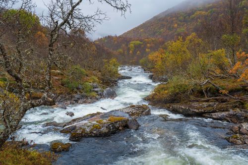Free Capture the beauty of fall with a misty river flowing through a vibrant forest. Stock Photo