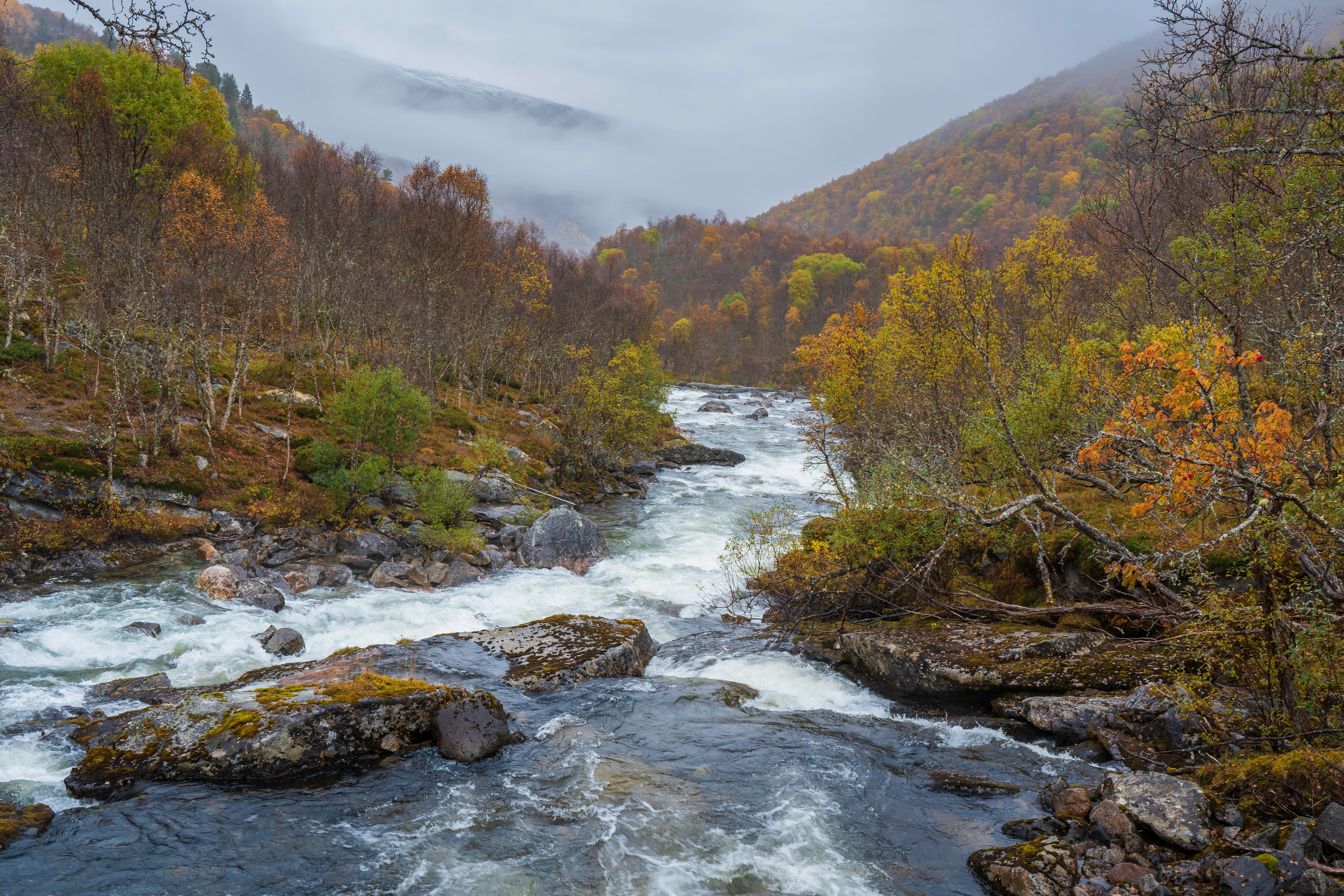 Stunning Autumn River Scene with Vibrant Foliage · Free Stock Photo