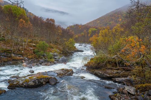 Free A scenic autumn river with colorful trees and misty mountains in the background. Stock Photo