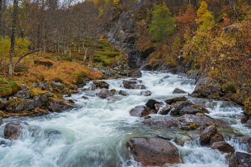 Free A serene mountain stream flows through vibrant fall foliage, capturing the essence of autumn in nature. Stock Photo