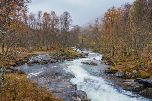 Free Peaceful autumn forest scene with a river flowing through colorful trees. Stock Photo