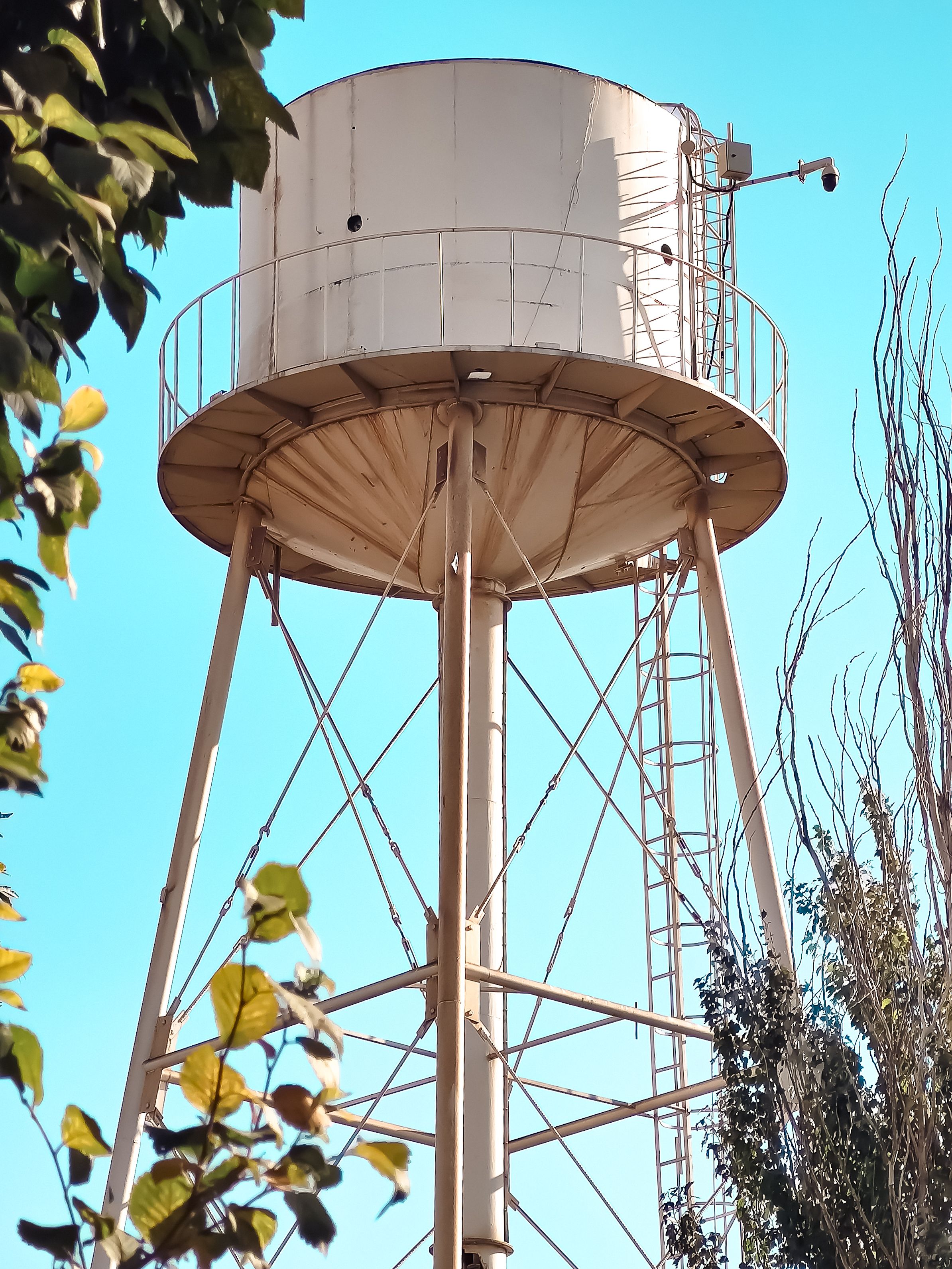 Fotomural Una torre de agua alta rodeada de árboles bajo un cielo azul claro, ofreciendo potencial para espacio de texto.
