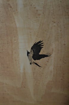 A bird in flight captured against a textured surface, showcasing movement and contrast.