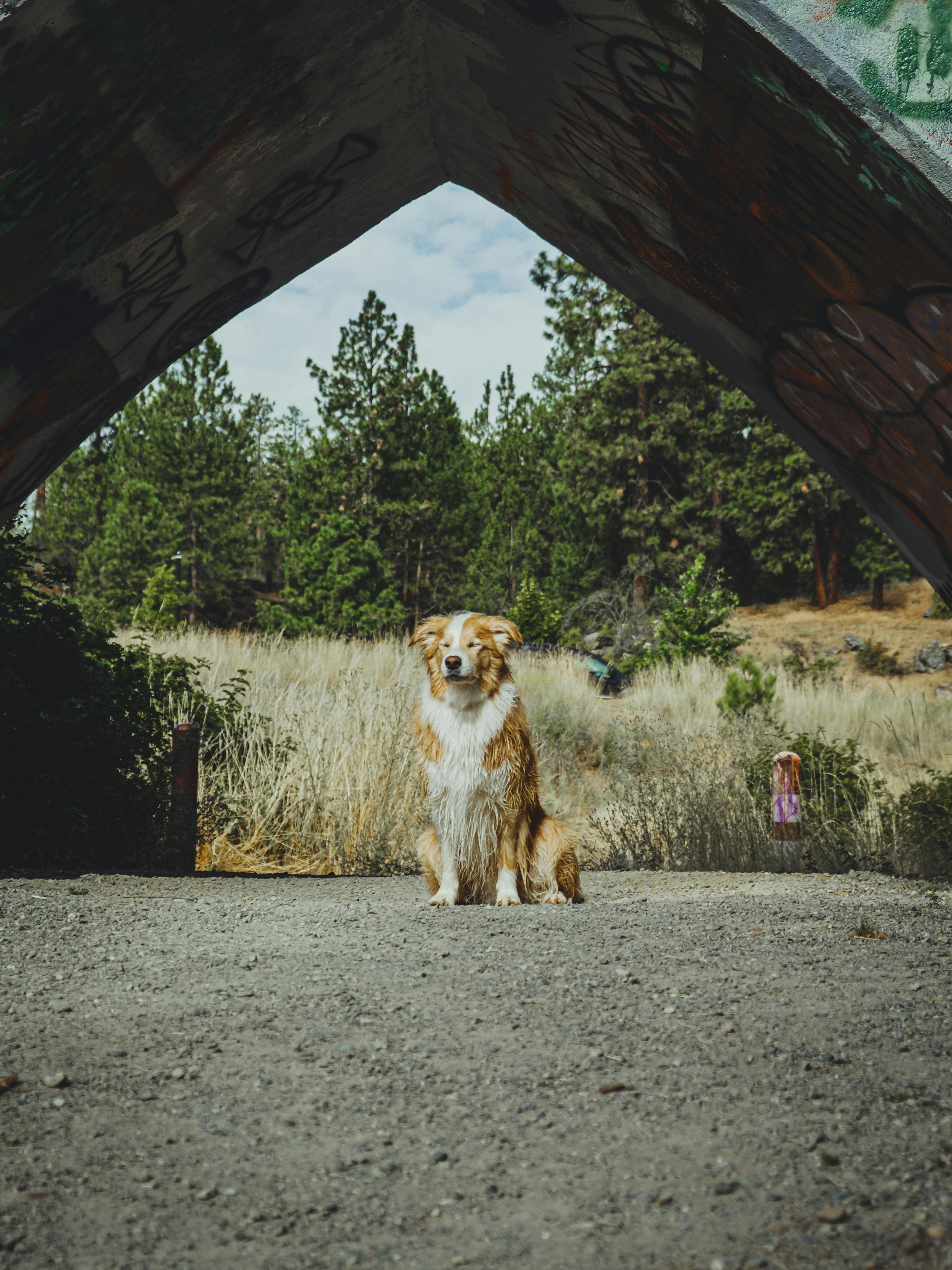 Blogger-Outreach Für PR Nutzen: So Steigern Sie Ihre Reichweite! 7 So erstellen Sie ansprechende Inhalte für Ihre Blogger-Outreach-Kampagne: Tipps und Tricks