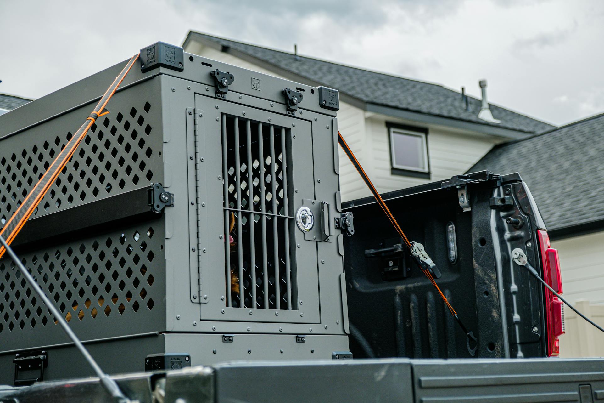 Golden Retrievers in Trucks: Impact Collapsible Dog Crate for Suburban Living and Travel