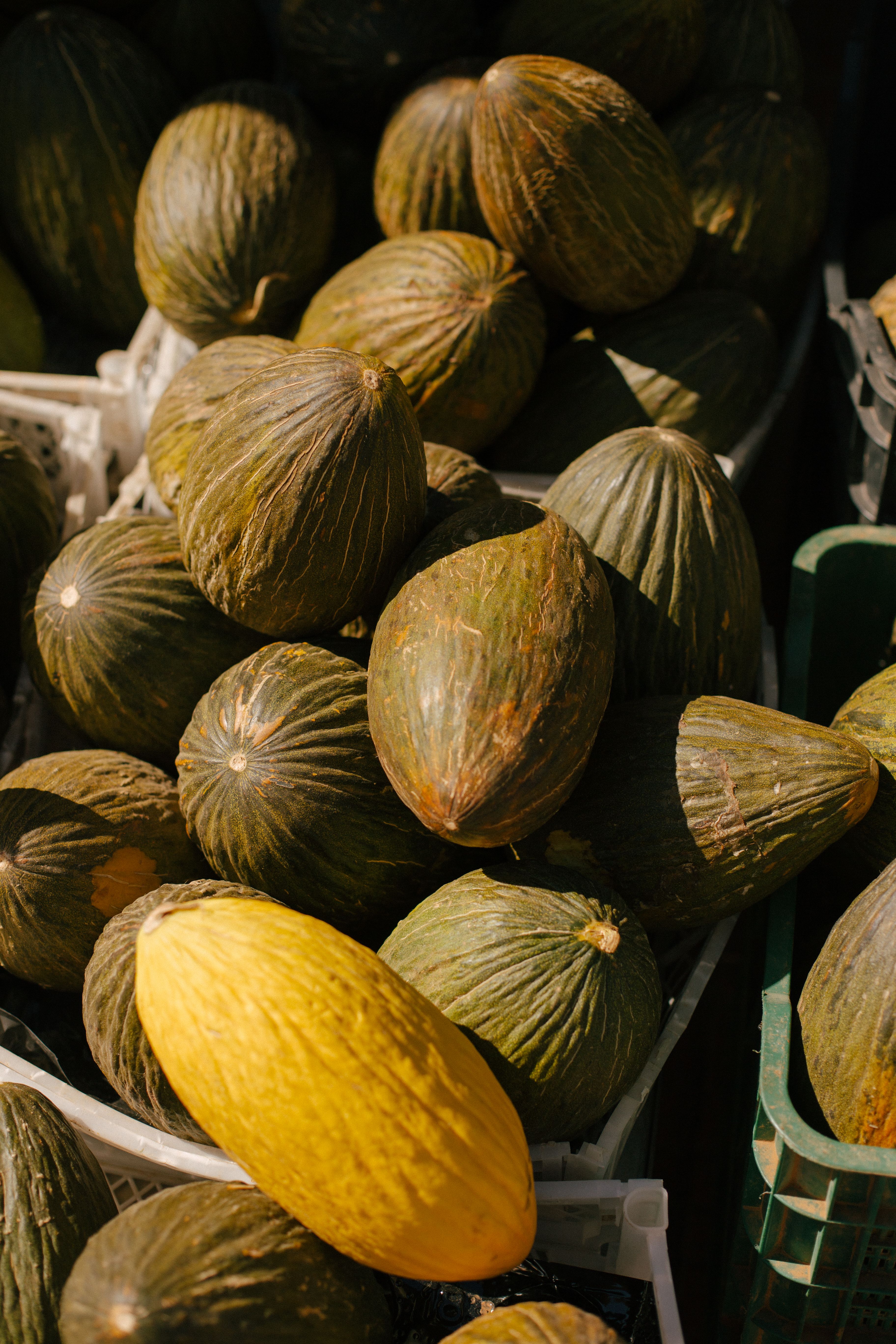 Honey Melons Photos, Download The BEST Free Honey Melons Stock Photos