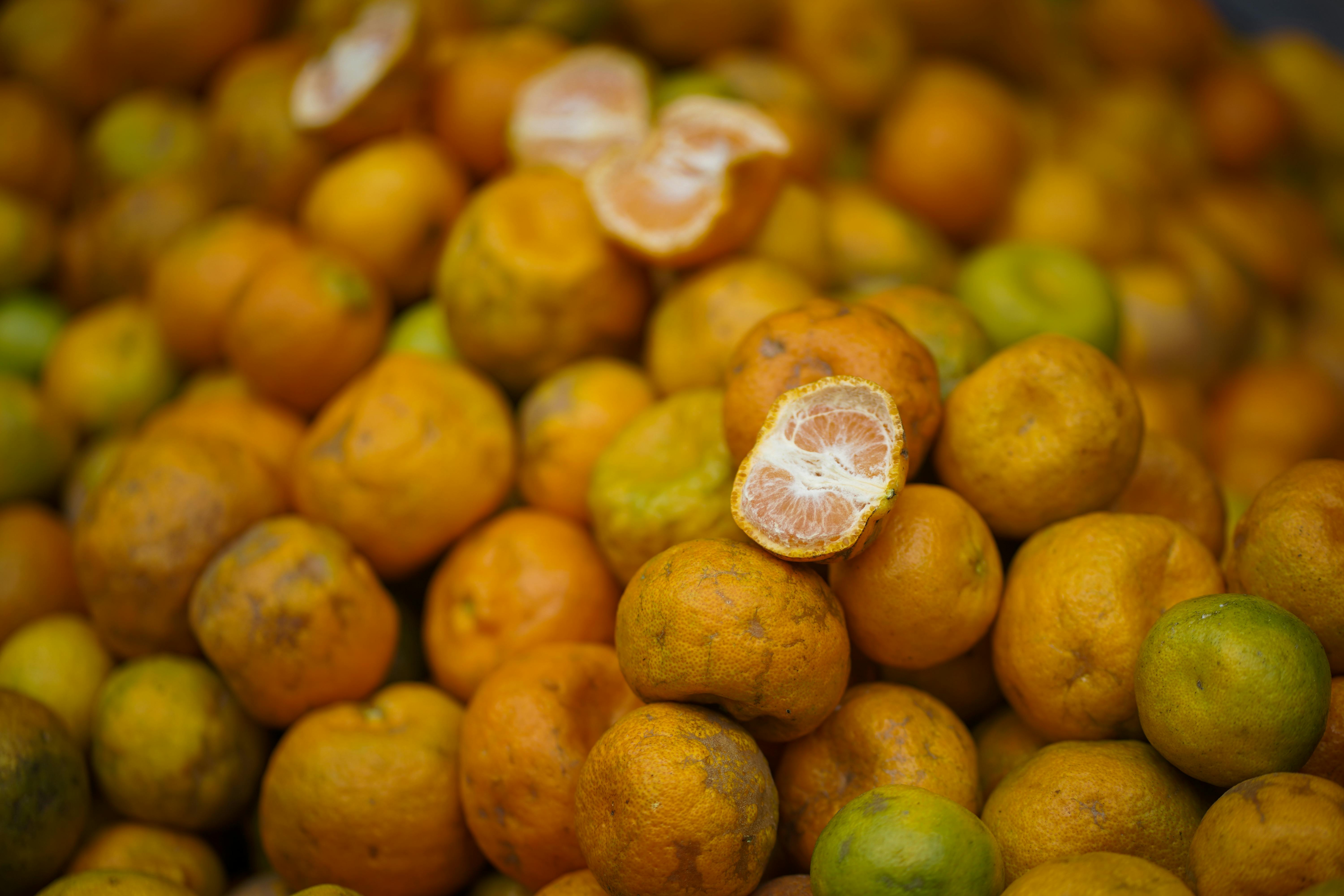 SA overtakes Spain as largest citrus exporter