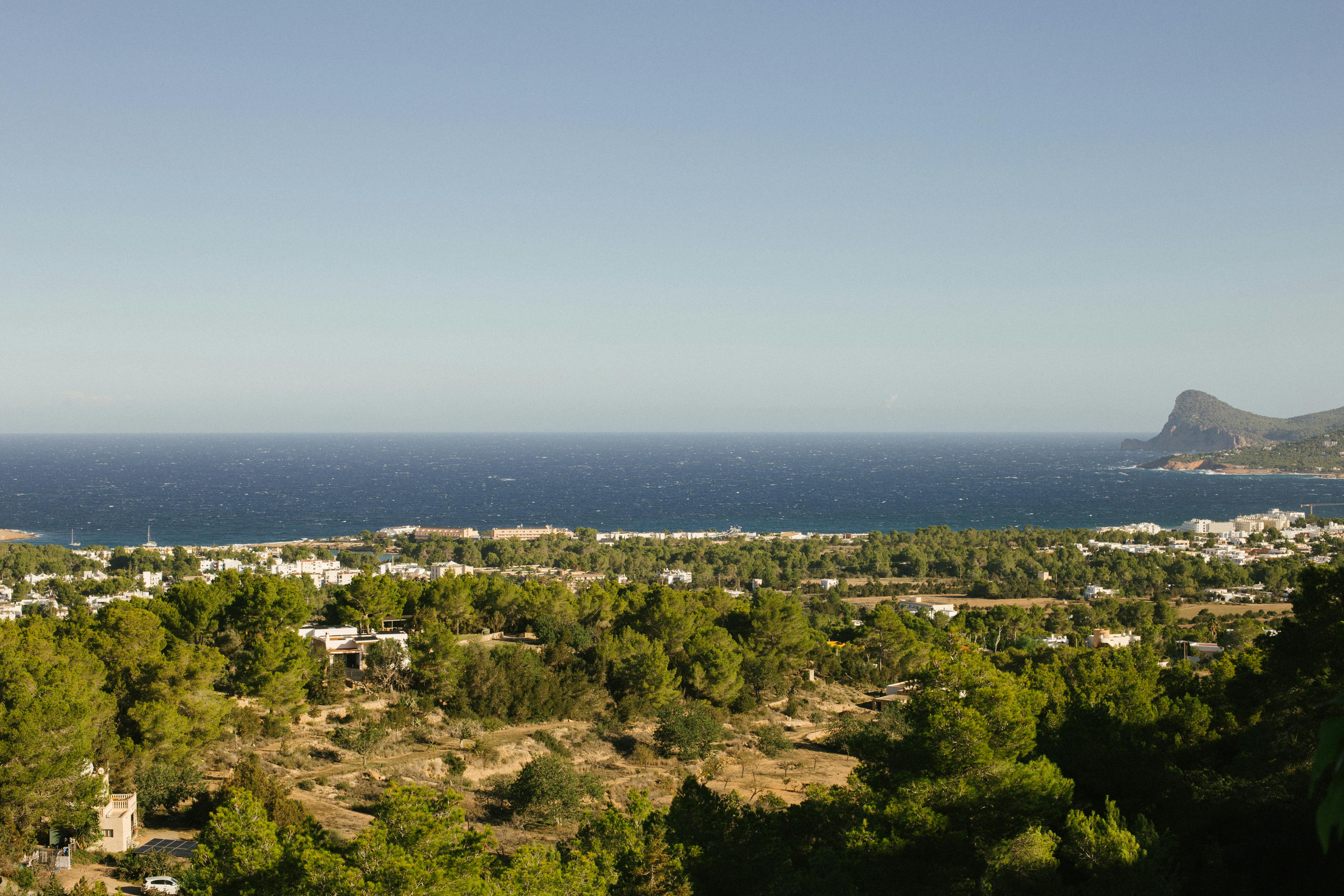 A breathtaking view of Ibiza's coastline with lush greenery and the Mediterranean Sea.