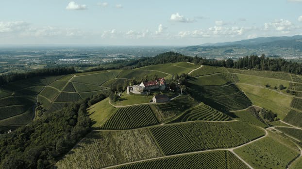 Marthas Vineyard, United States photo 8