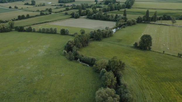 Serene aerial landscape of fields and trees in Muttersholtz, France during summer.