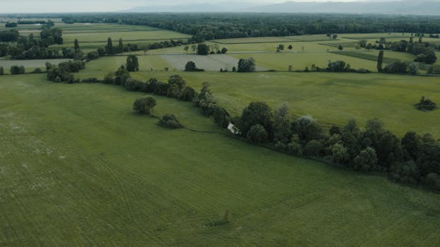 Peaceful aerial view of lush green fields and forests in Muttersholtz, France.