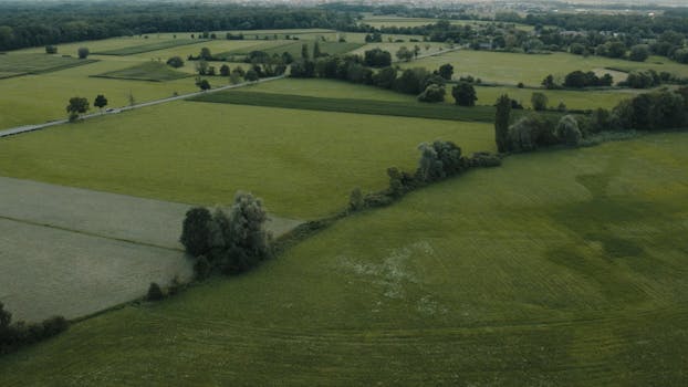 Serene aerial view of green fields in Muttersholtz, France, showcasing lush summer landscapes.
