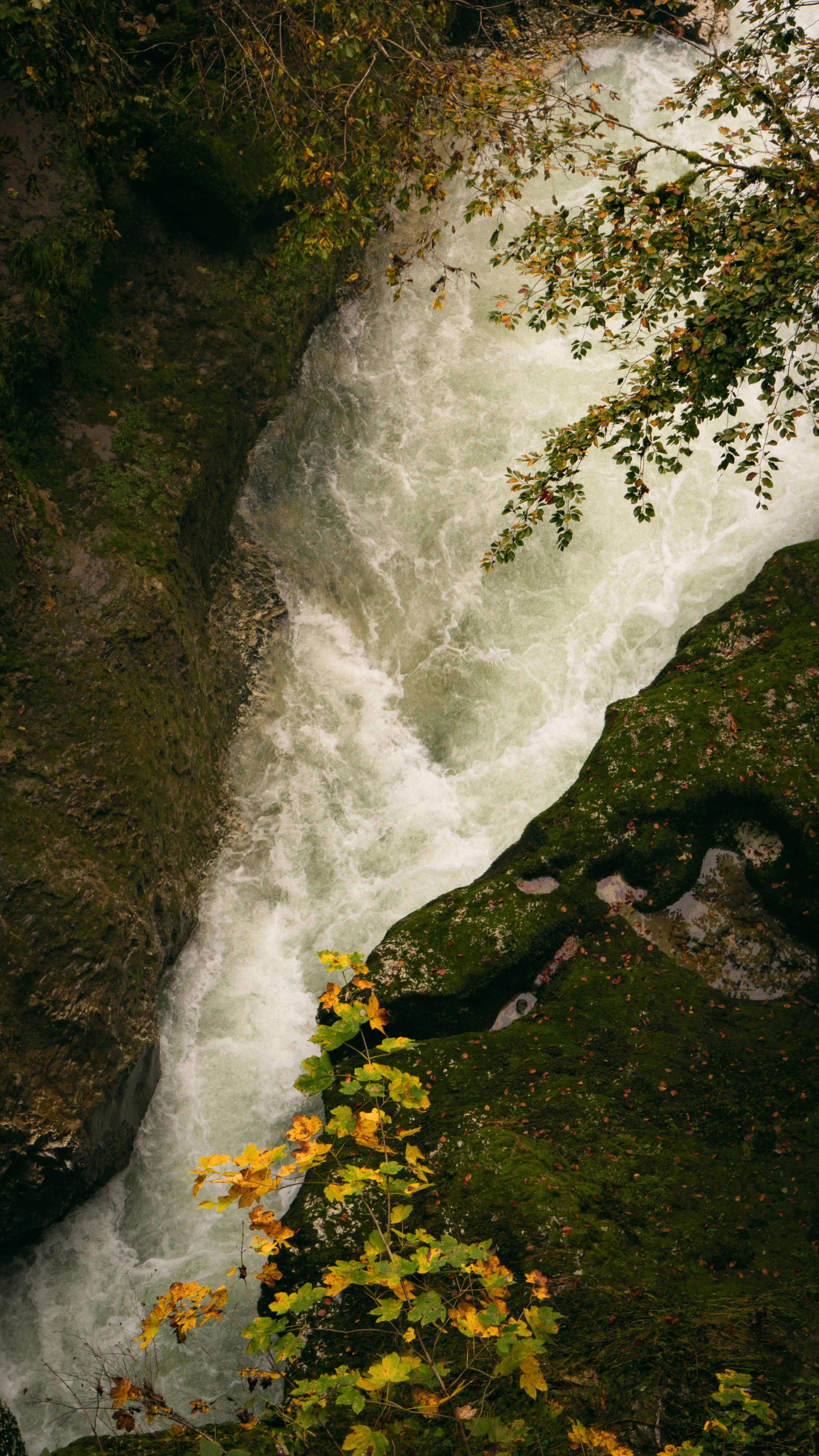 Autumn River Flow in Chavanod, France · Free Stock Photo