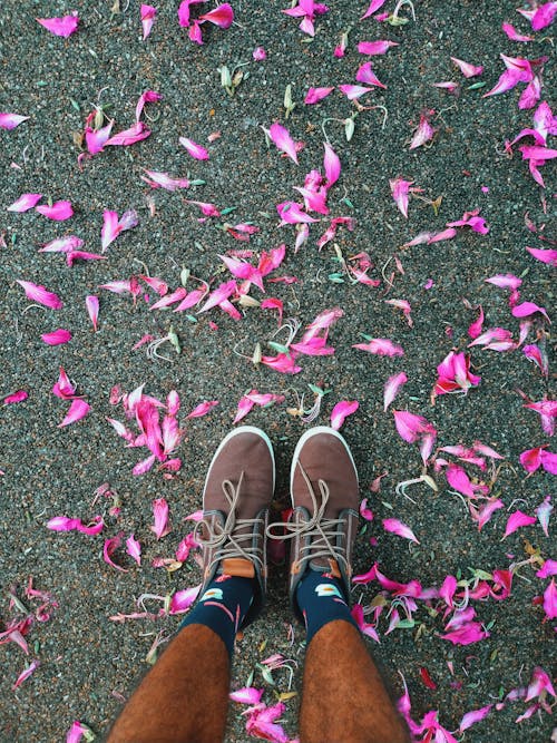 Scarpe Marroni E Fiori Rosa