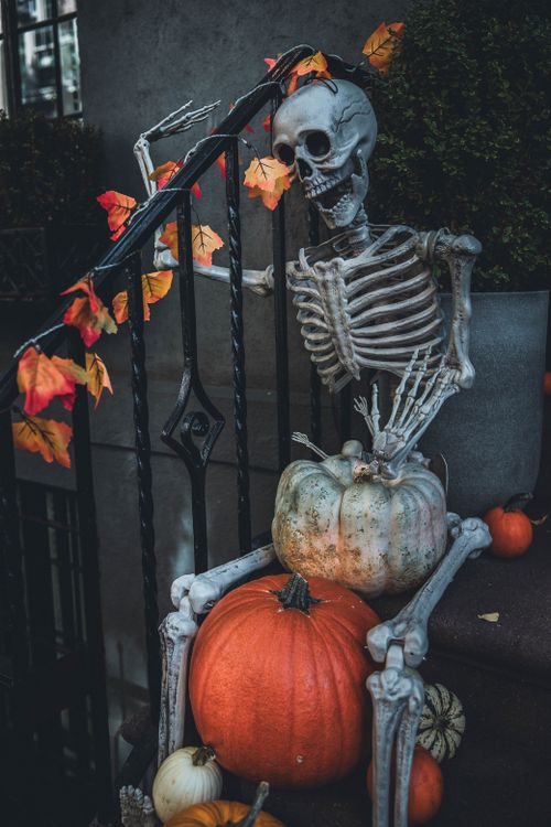 Free Spooky Halloween skeleton with pumpkins and autumn leaves on steps in New York City. Stock Photo
