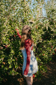 Young woman reaching for apples in a lush orchard, capturing autumn harvest vibes.