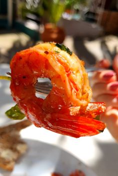 Shrimp