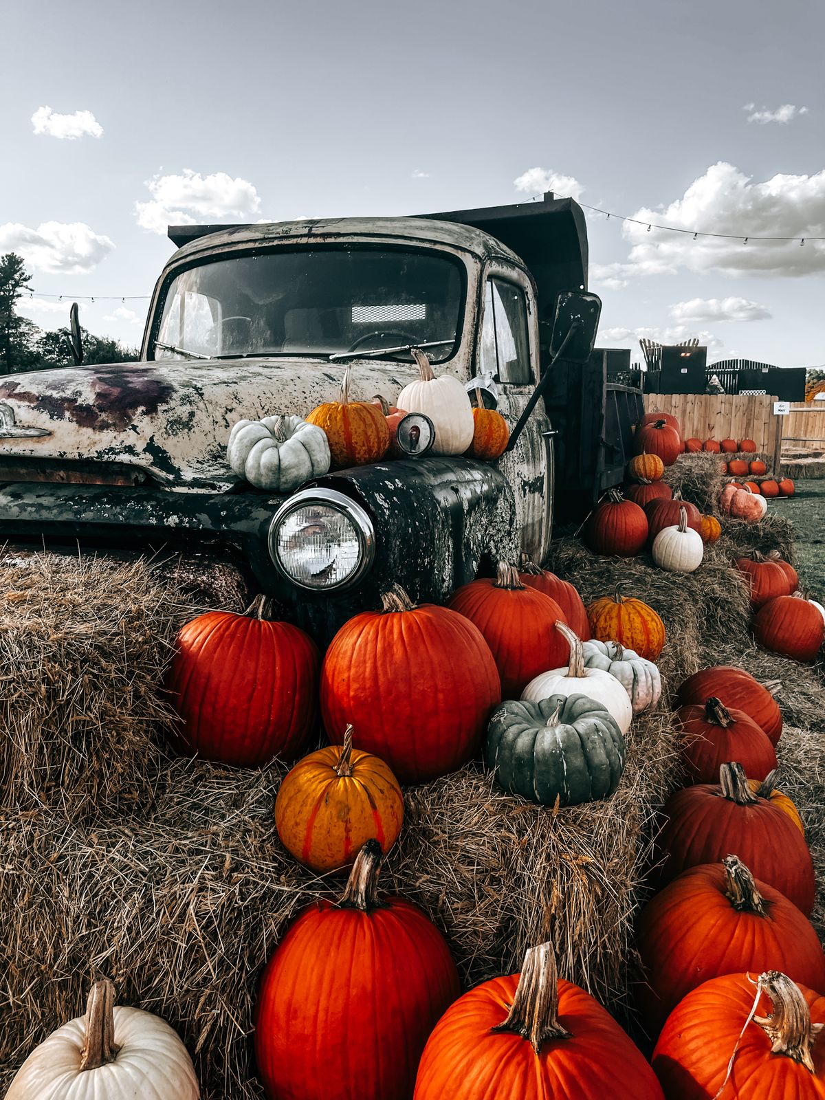 A vintage truck loaded with pumpkins and hay bales for fall