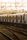 mumbai local train
