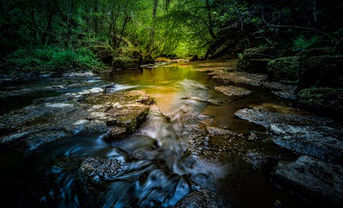 Free Time-Lapse Photo Of River Stock Photo
