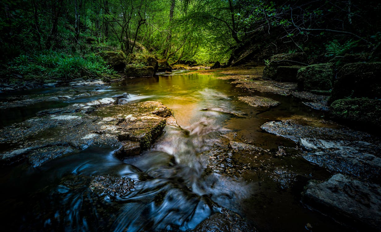 Free Time-Lapse Photo Of River Stock Photo