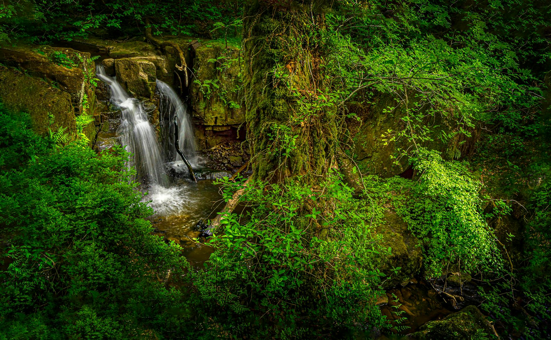 Waterfalls and Trees