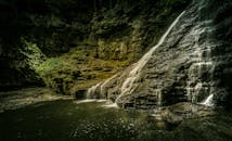 在郁郁葱葱的户外，一道宁静的瀑布流过苔藓覆盖的岩石