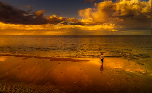 Child Standing on Seashore