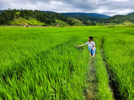 Image by Đạm Thư Nguyễn