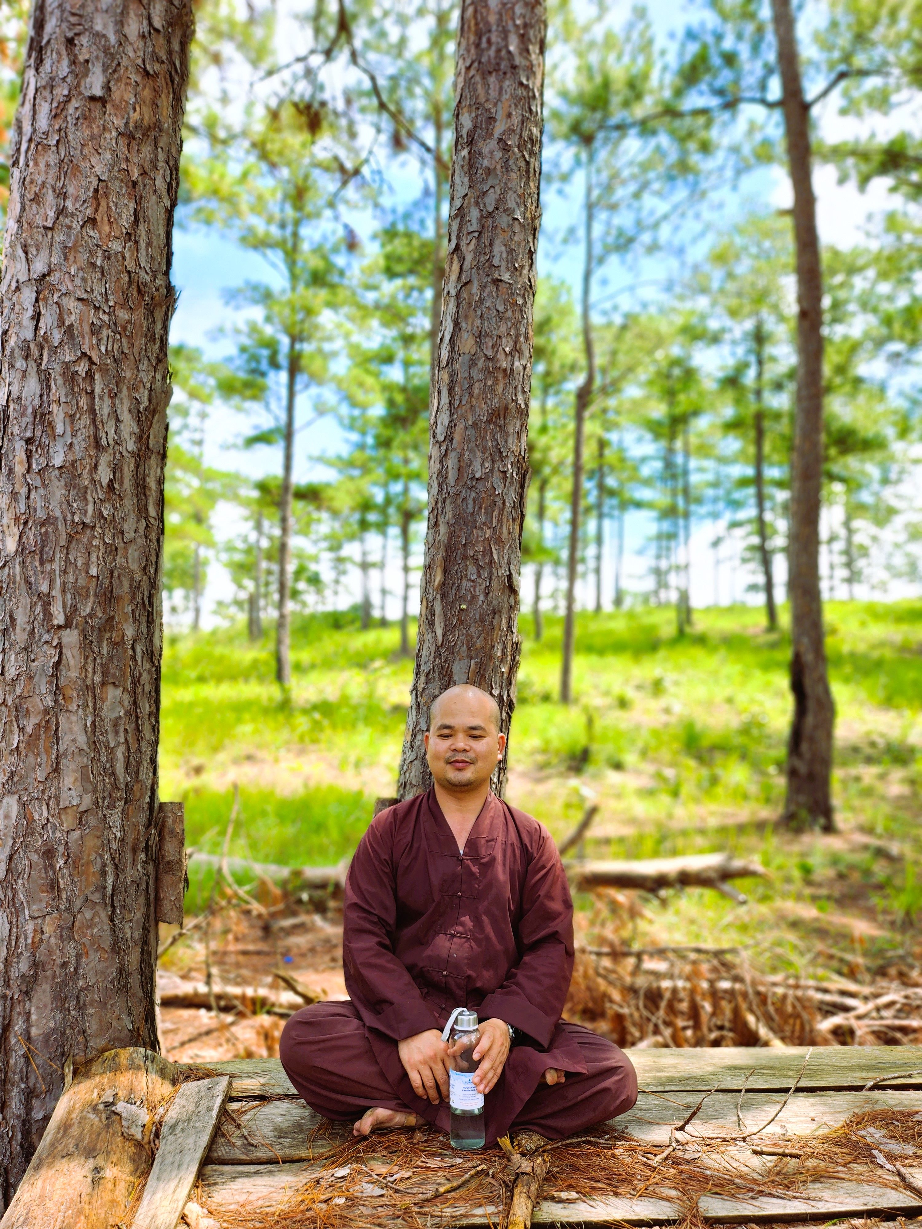 A man meditating peacefully in a lush green pine forest, enjoying nature's serenity.