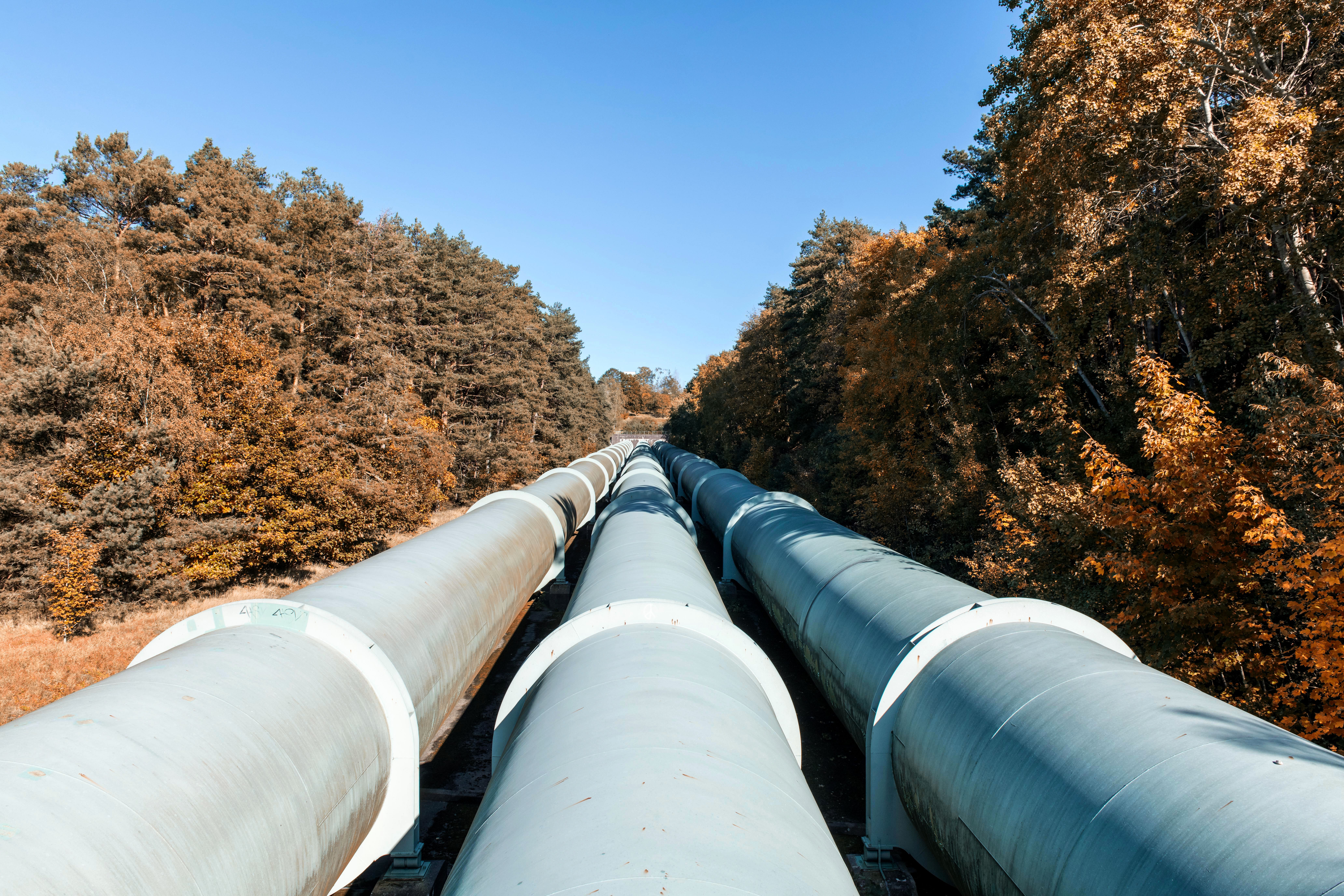 IIV to FG: Push for smaller pipeline surveillance