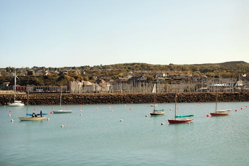 Free stock photo of blue water, calm, coast