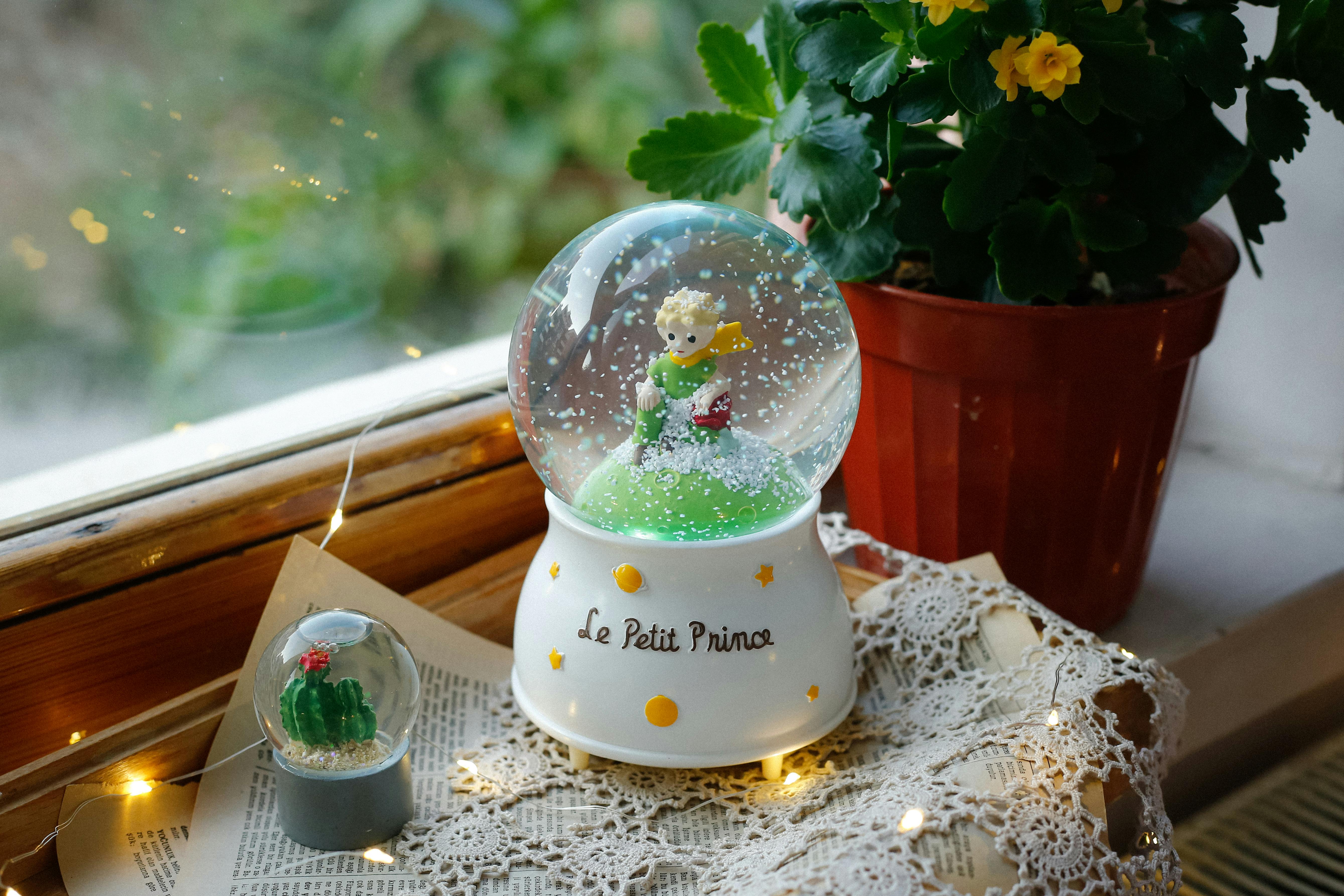 Free Le Petit Prince snow globe with cactus mini globe and potted plant beside a window, evoking a cozy atmosphere. Stock Photo