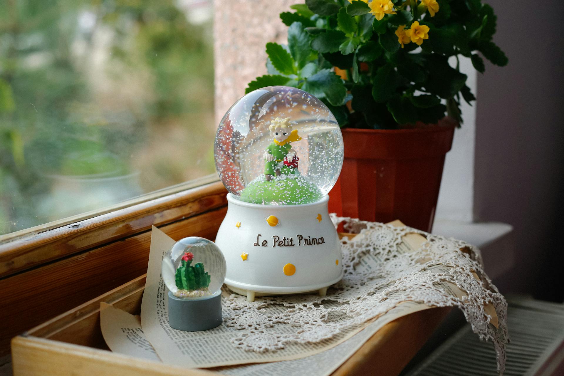 Le Petit Prince snow globe by window with flowers