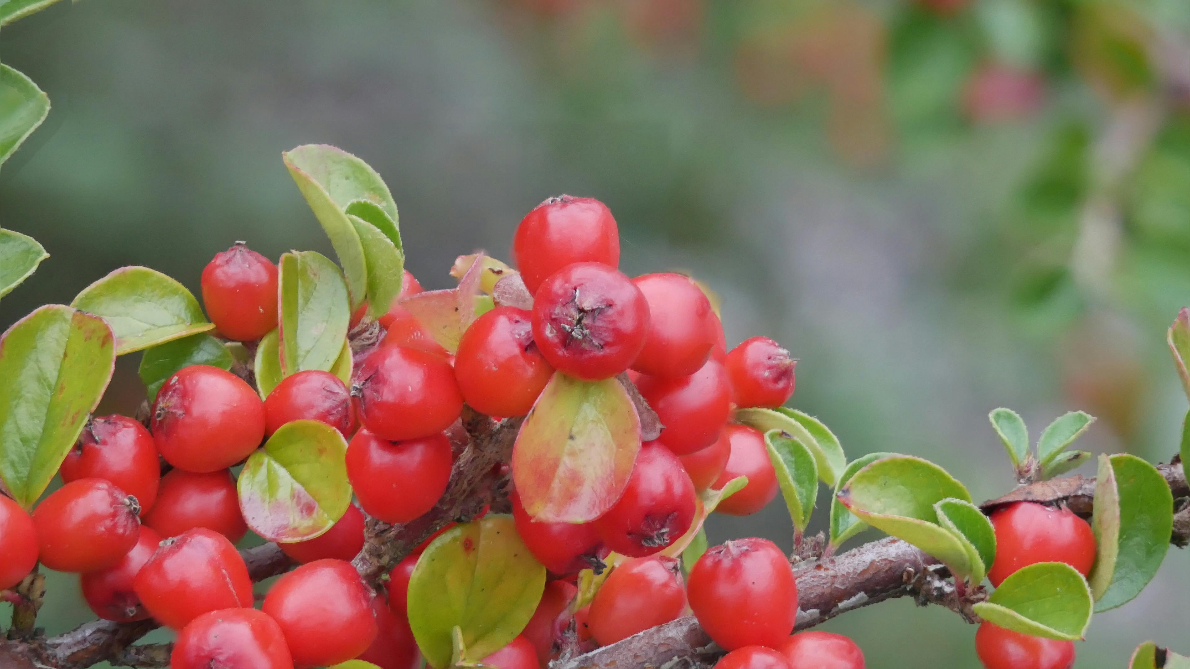 Property manager inspecting a rental property