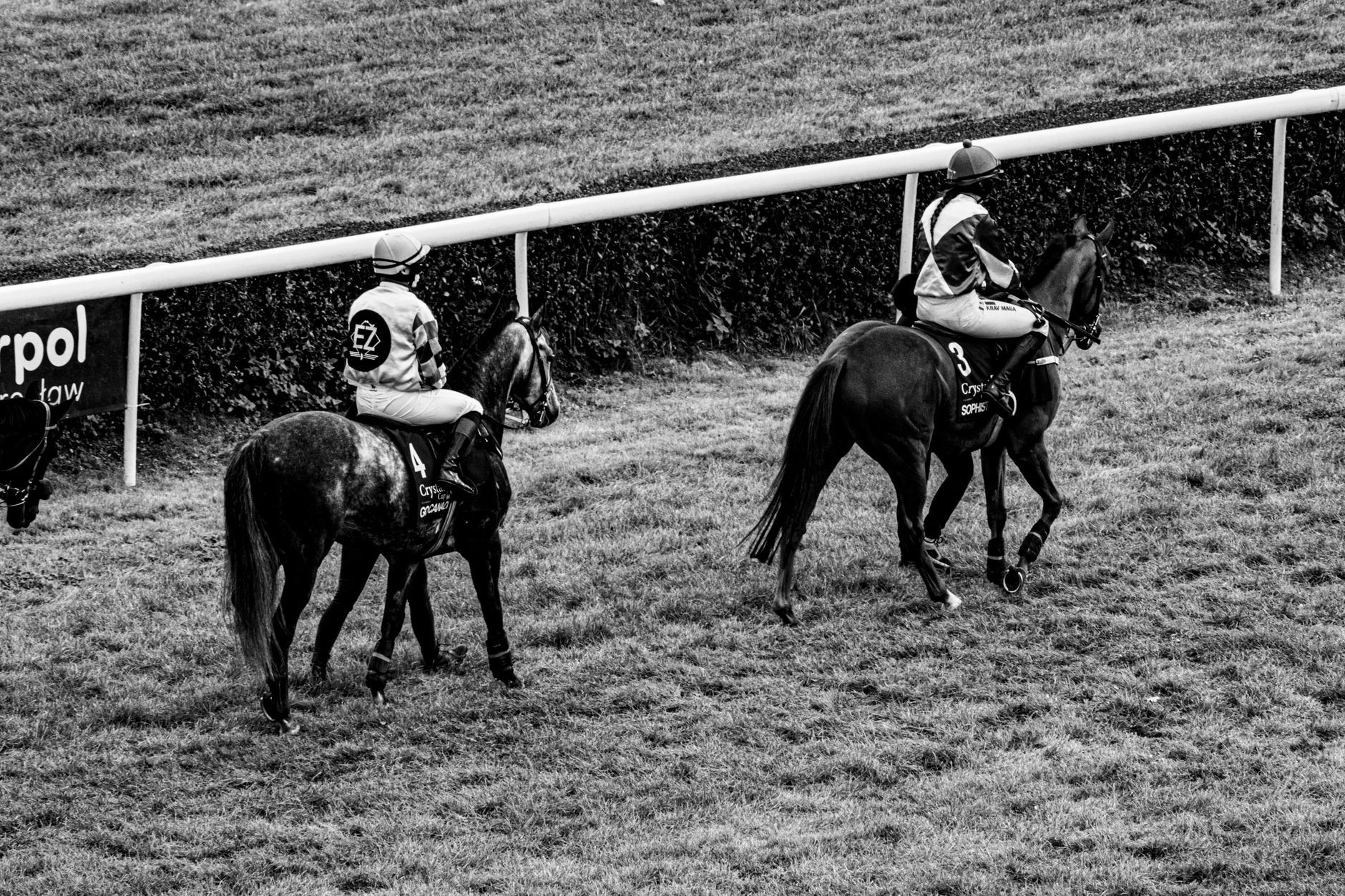 A black and white photo capturing horse racing in Wrocław, Poland, with jockeys riding on the track.